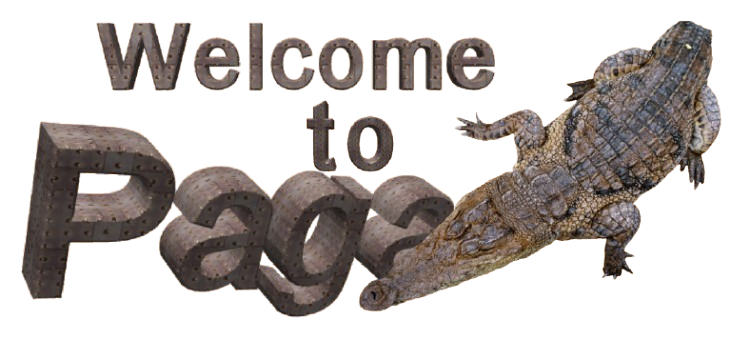 Discover your real roots at Paga Crocodile Ponds, upper East ghana, Northern Ghana Tours!